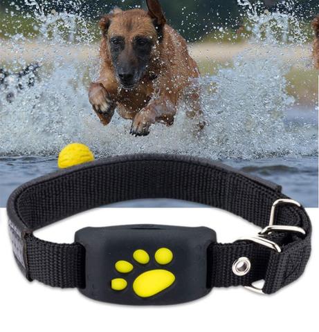 Best Cat Gps Tracker Locator Device For Pets Collar And Tag Home Garden