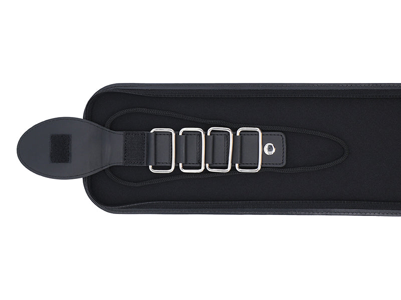 Beethoven Tie Case