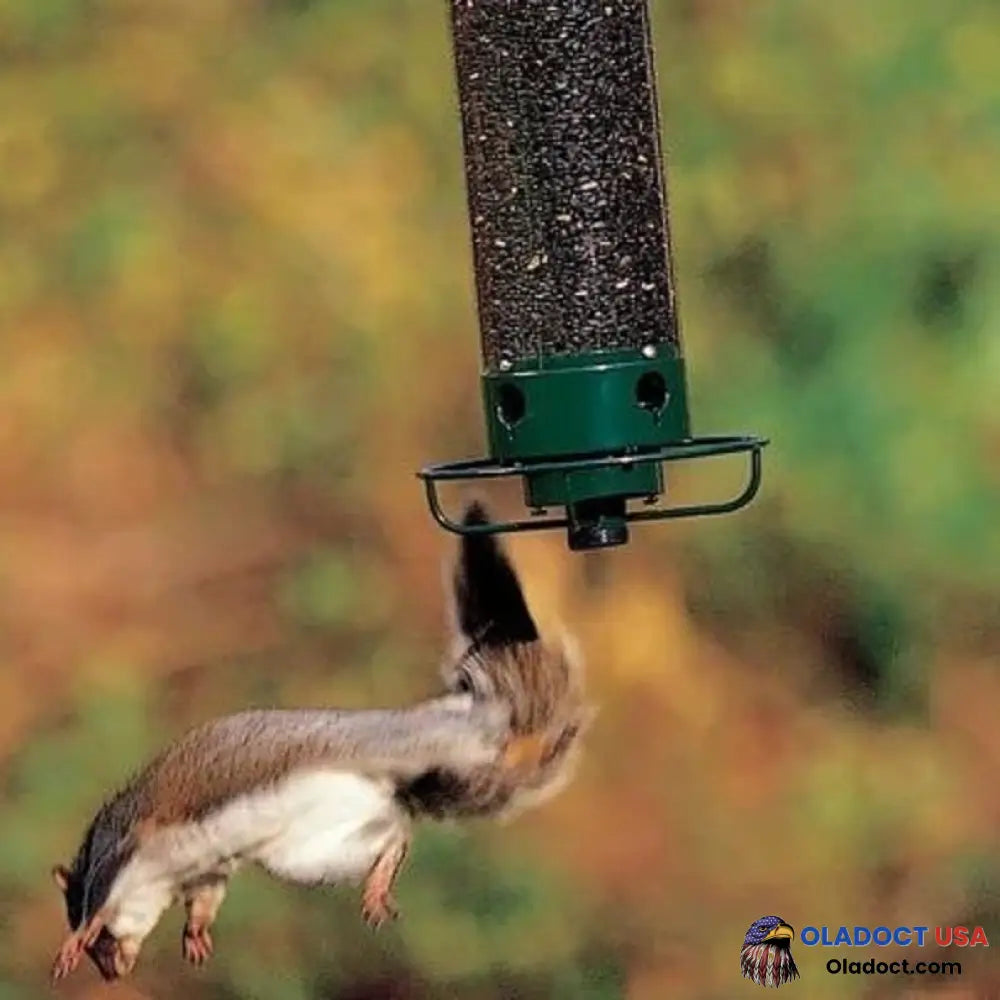 100% Squirrel-Proof Bird Feeder