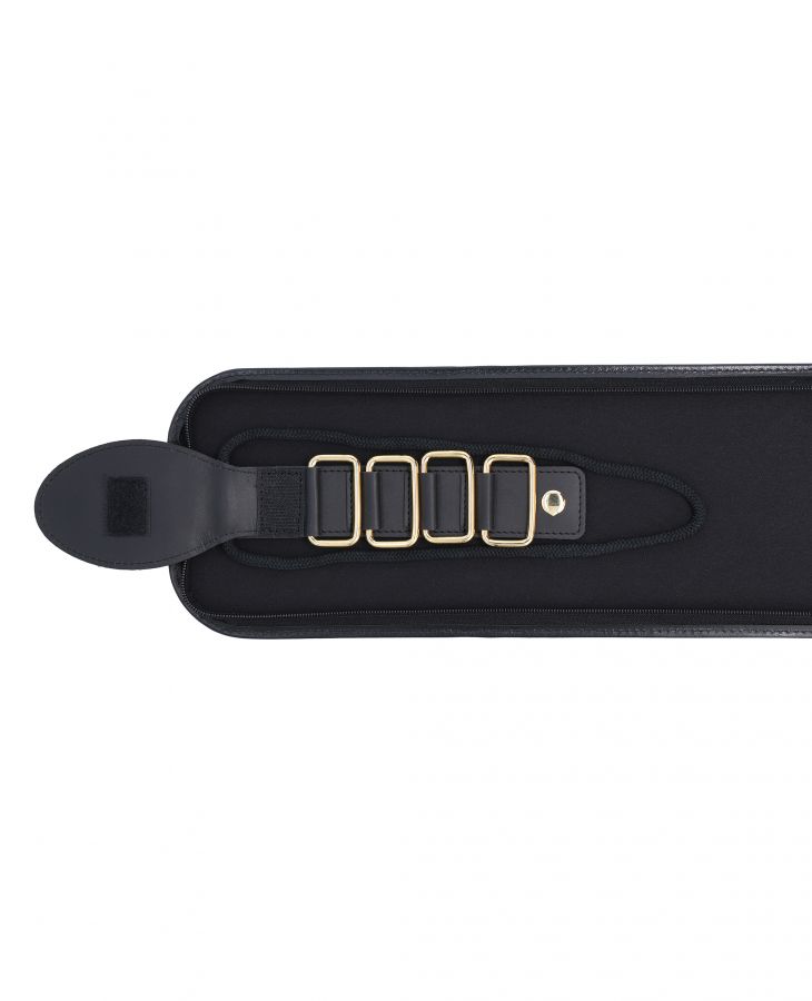 Beethoven Tie Case