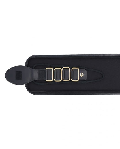 Beethoven Tie Case