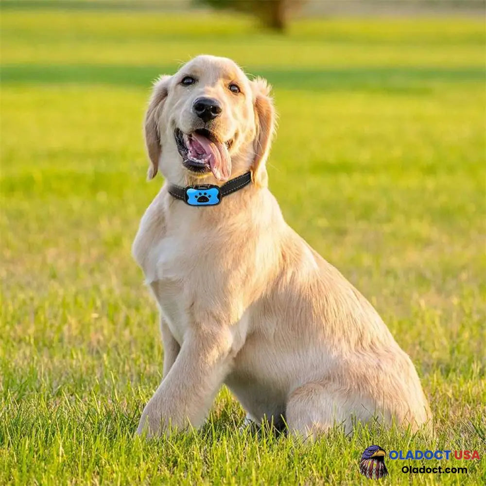 Barkey Anti-Bark Collar