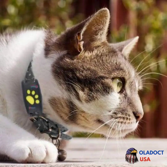 Best Cat Gps Tracker Locator Device For Pets Home And Garden