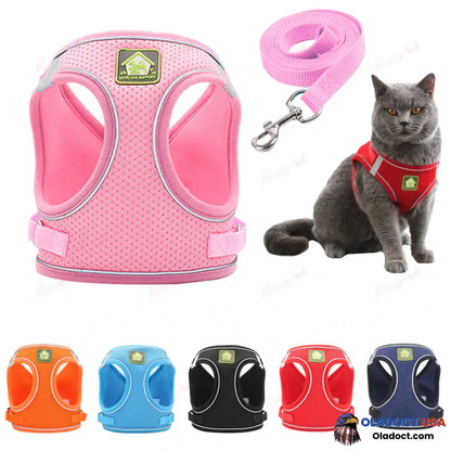 Luminous Cat Vest Harness And Leash Set