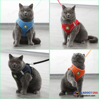 Luminous Cat Vest Harness And Leash Set