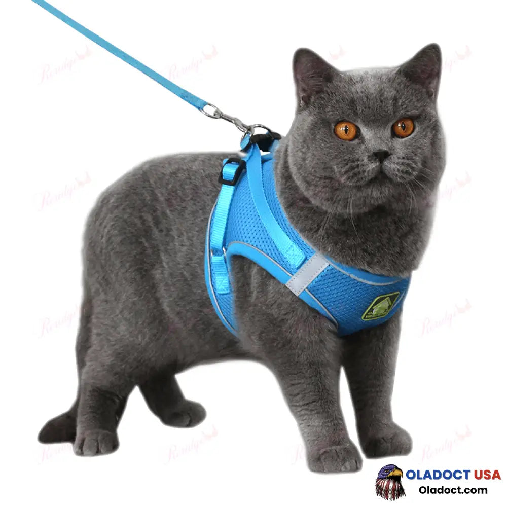 Luminous Cat Vest Harness And Leash Set