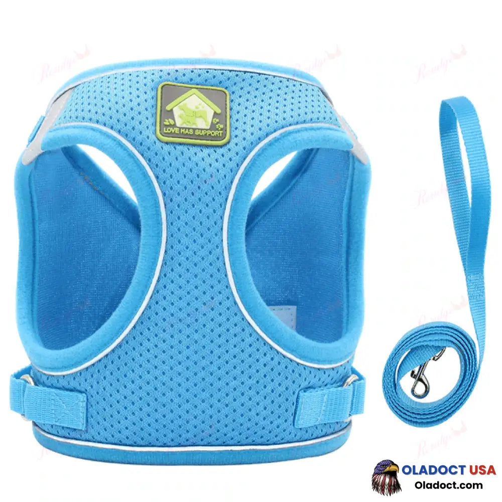 Luminous Cat Vest Harness And Leash Set Blue / Xs