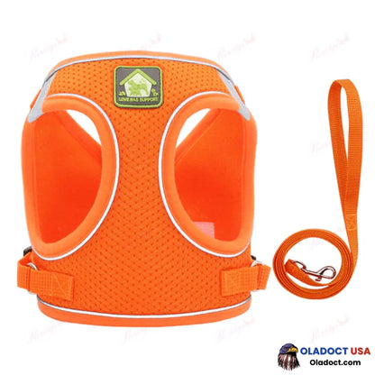 Luminous Cat Vest Harness And Leash Set Orange / Xs