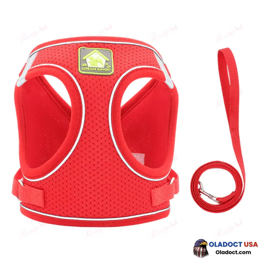 Luminous Cat Vest Harness And Leash Set Red / Xs