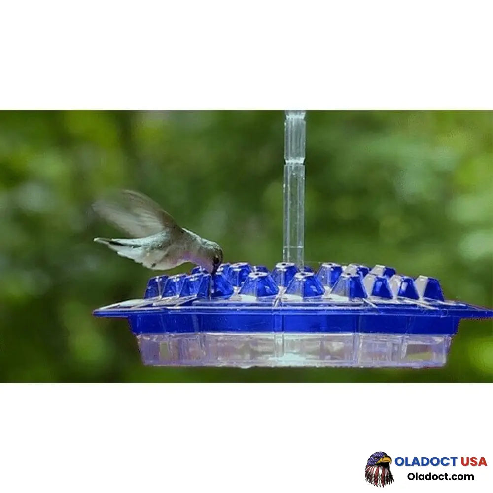 Marys Hummingbird Feeder With Perch And Built-In Ant Moat