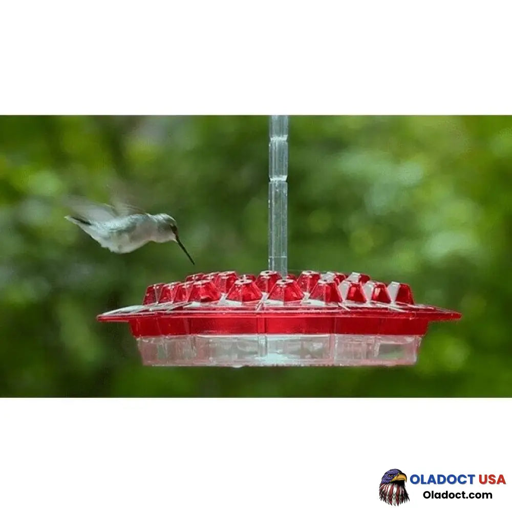 Marys Hummingbird Feeder With Perch And Built-In Ant Moat