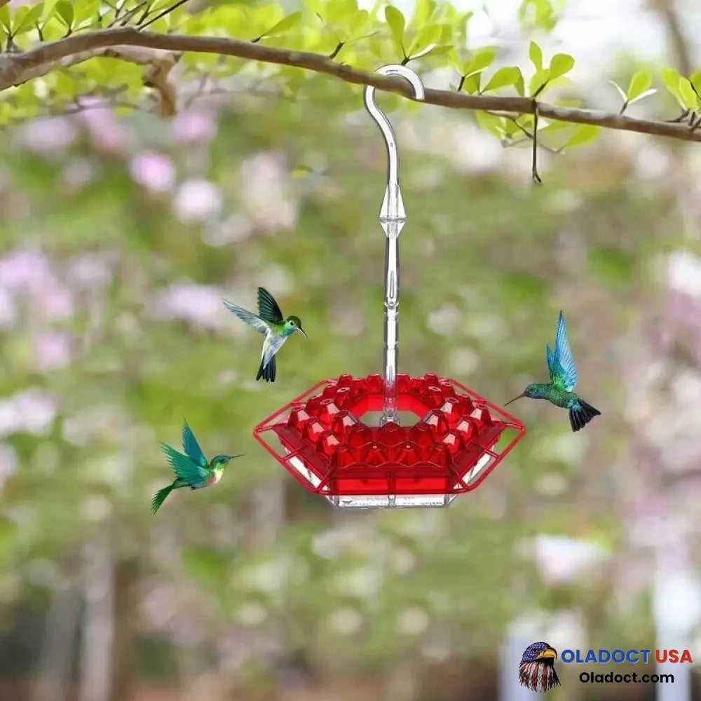 Marys Hummingbird Feeder With Perch And Built-In Ant Moat