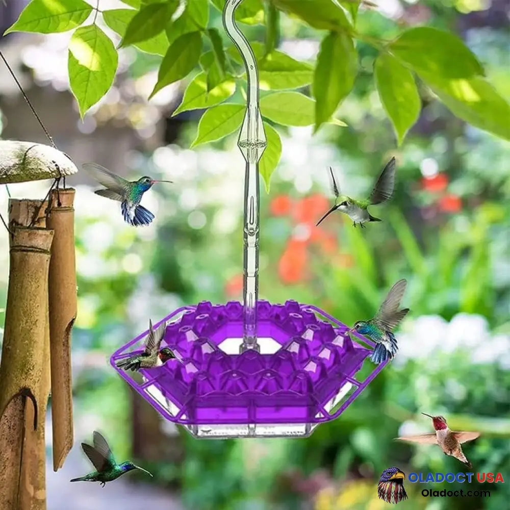 Marys Hummingbird Feeder With Perch And Built-In Ant Moat Purple