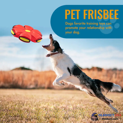 Pet Toy Flying Saucer Ball