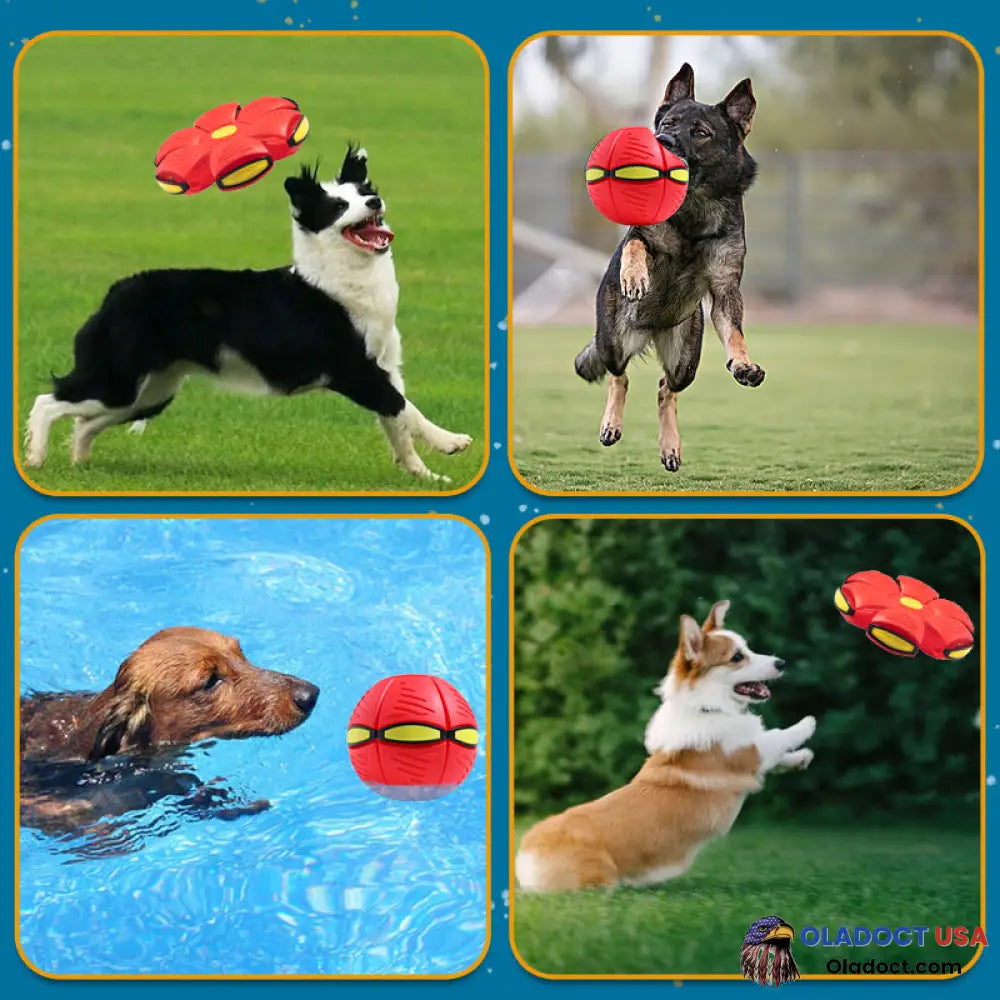 Pet Toy Flying Saucer Ball