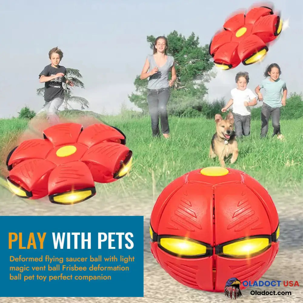 Pet Toy Flying Saucer Ball