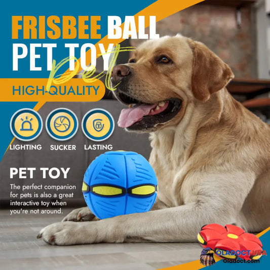 Pet Toy Flying Saucer Ball Without Lights / Blue