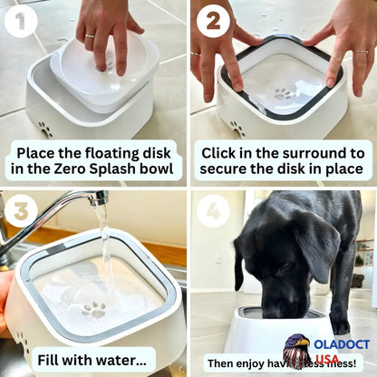 Pup Hub The Zero Splash