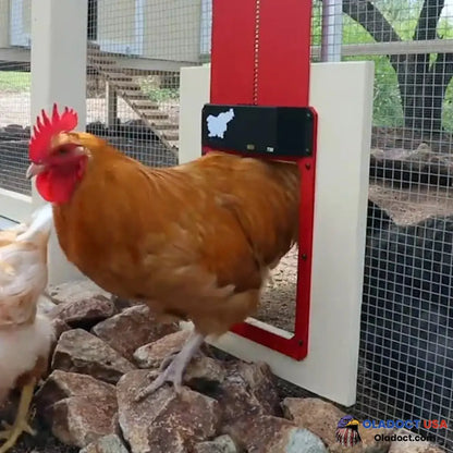 Sale Automatic Chicken Coop Door