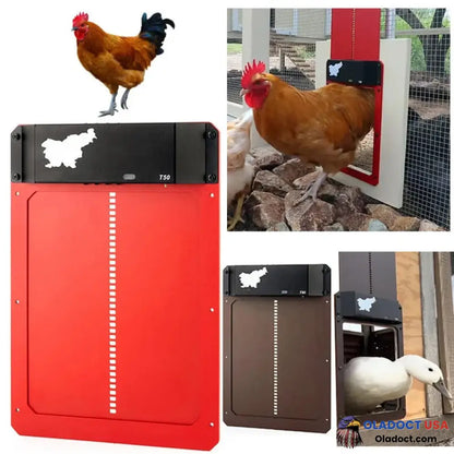 Sale Automatic Chicken Coop Door