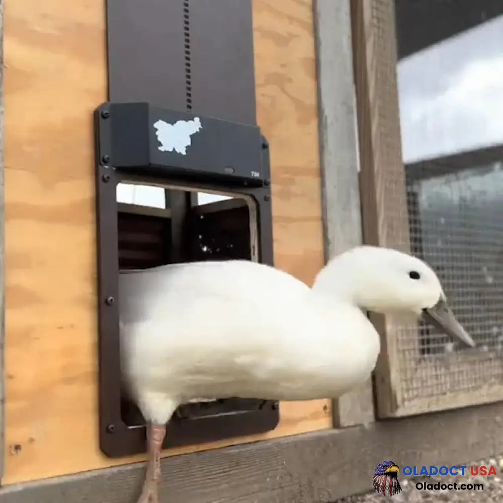 Sale Automatic Chicken Coop Door