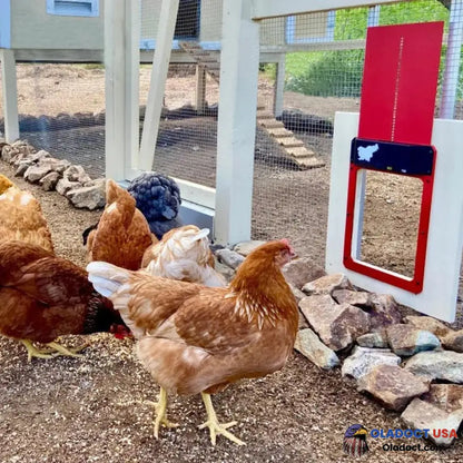 Sale Automatic Chicken Coop Door Red