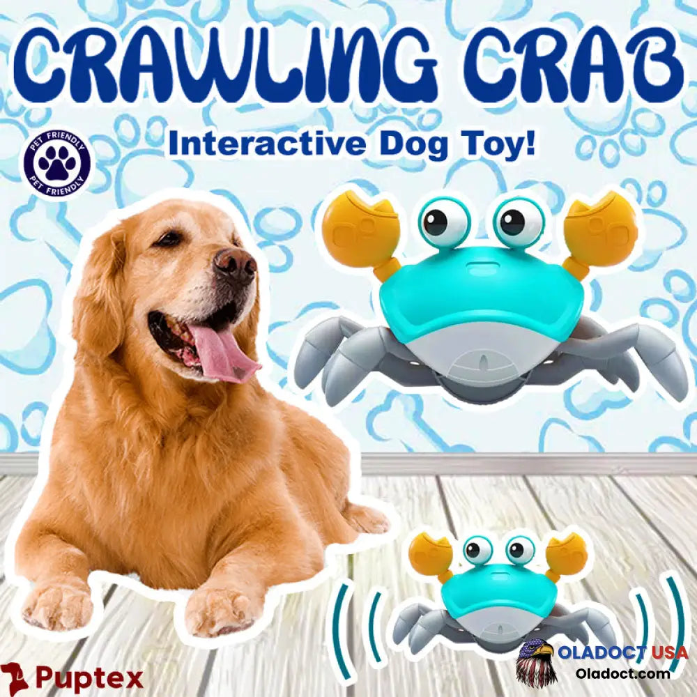 Sale - Crawling Crab Interactive Dog Toy