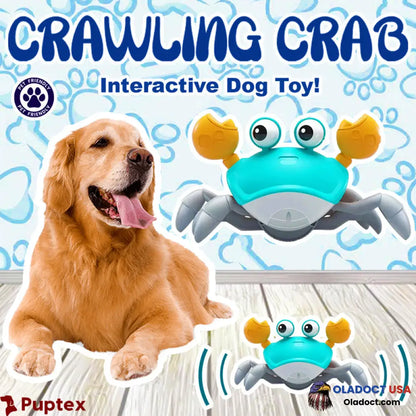 Sale - Crawling Crab Interactive Dog Toy