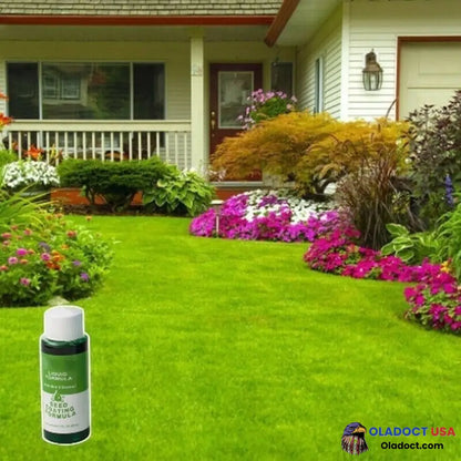 Sale Green Grass & Pest Control Lawn Spray 1 (Only Liquid)