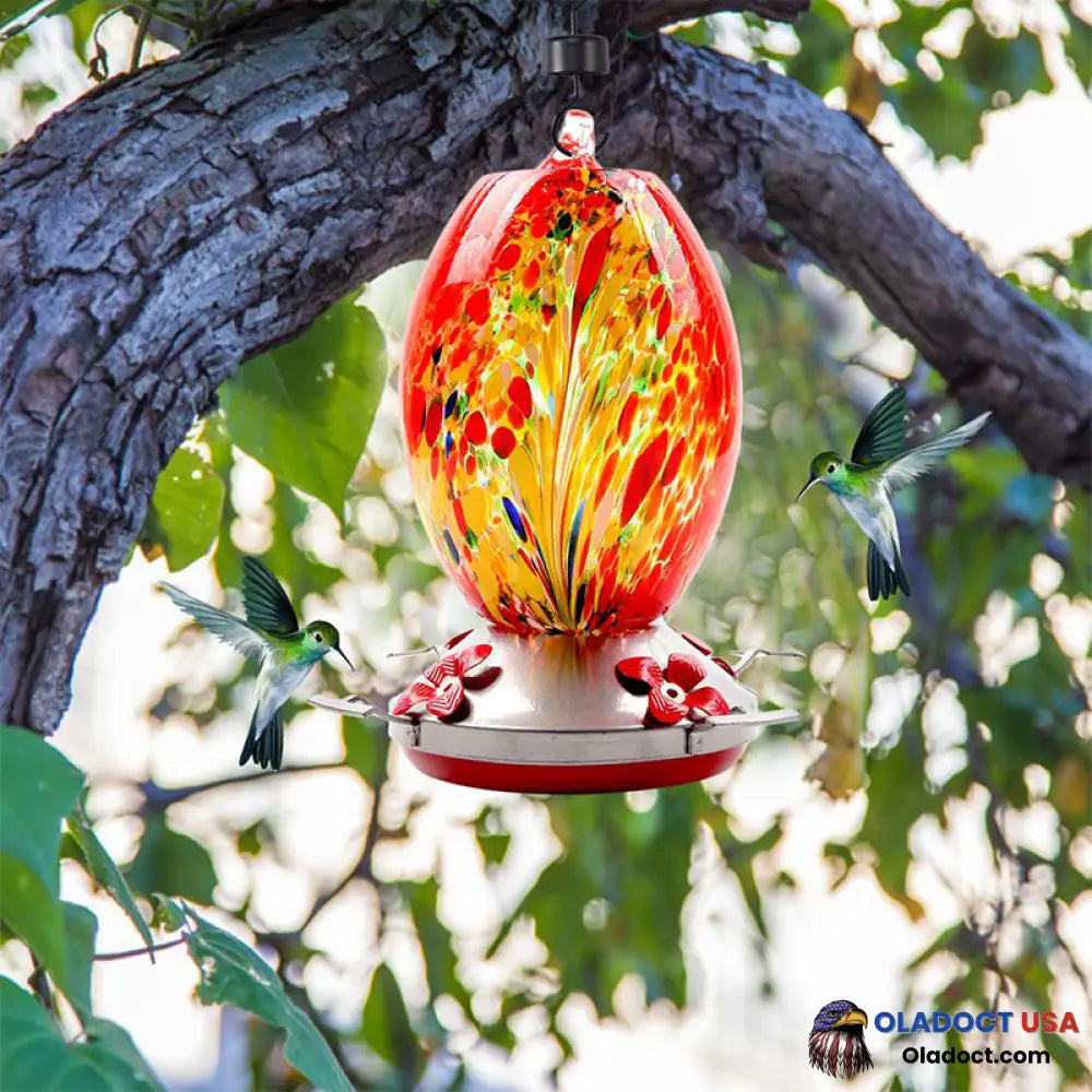 Sale - Hummingbird Feeder Hand Blown Glass 29.5X11Cm