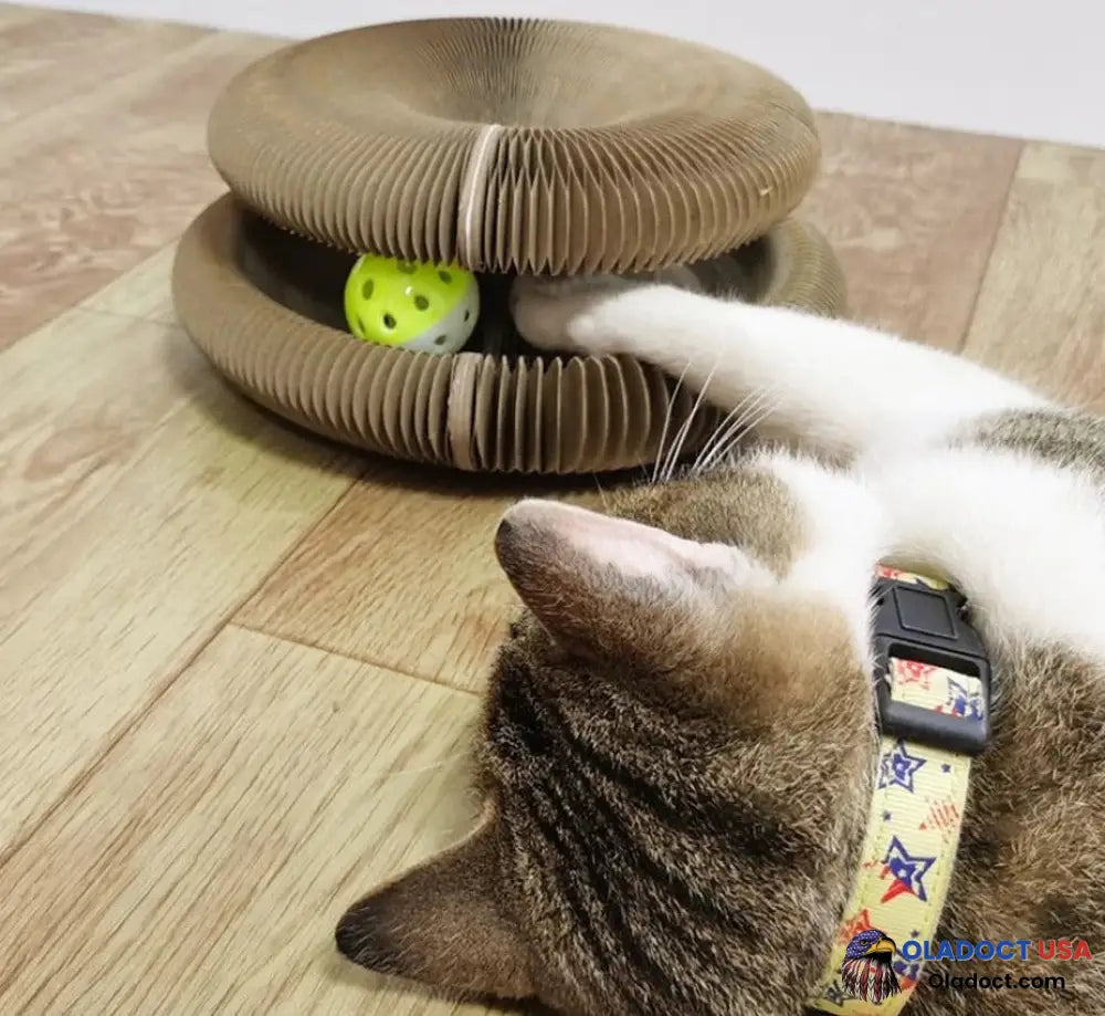 Sale - Organlada Cat Scratcher