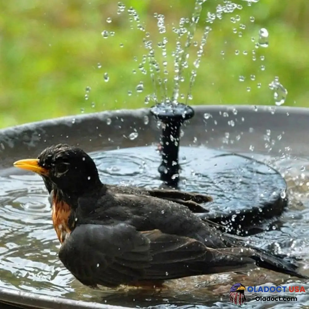 Solar Powered Water Fountain Buy 1