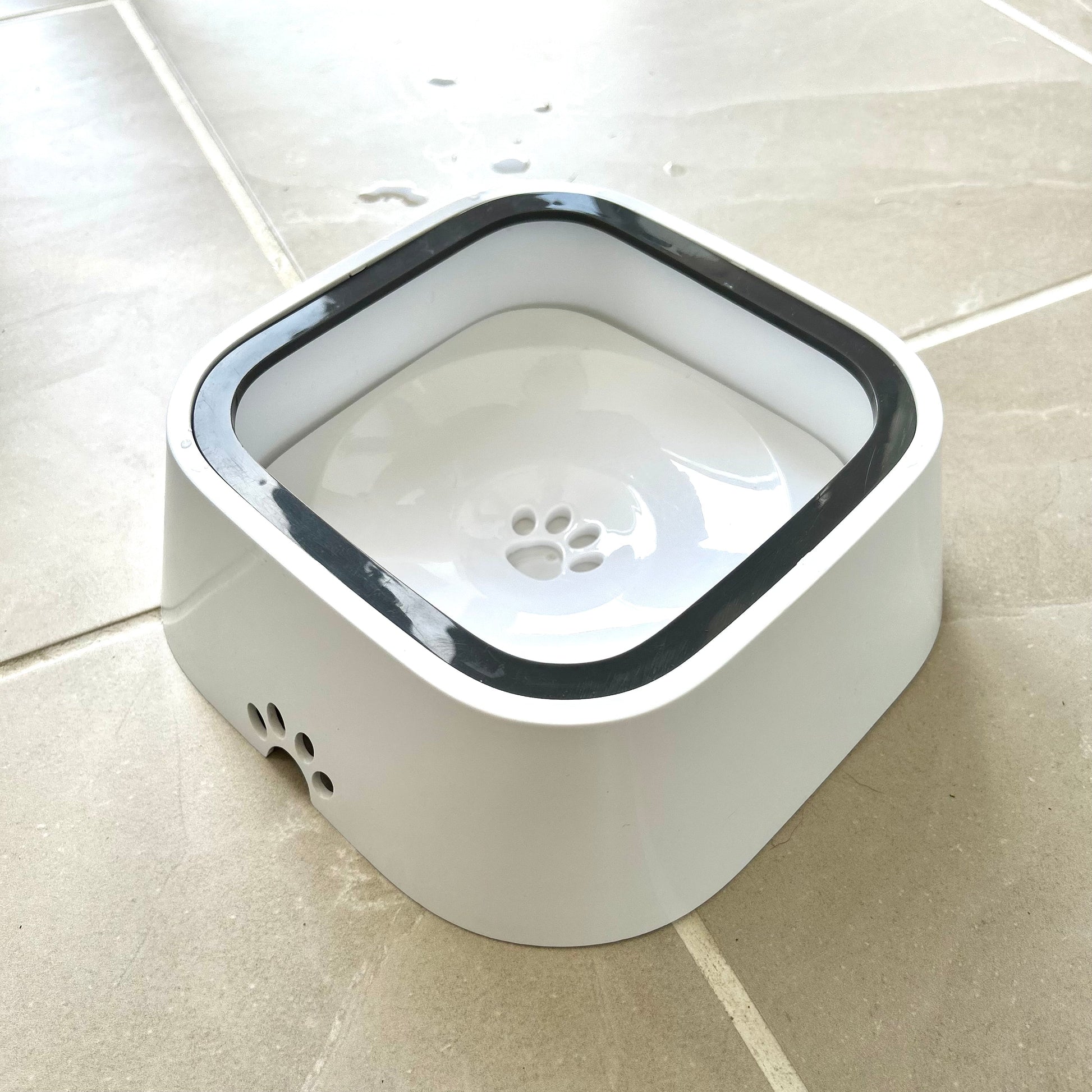 Pup Hub The Zero Splash